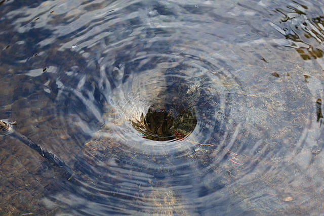 A whirllpool in the water