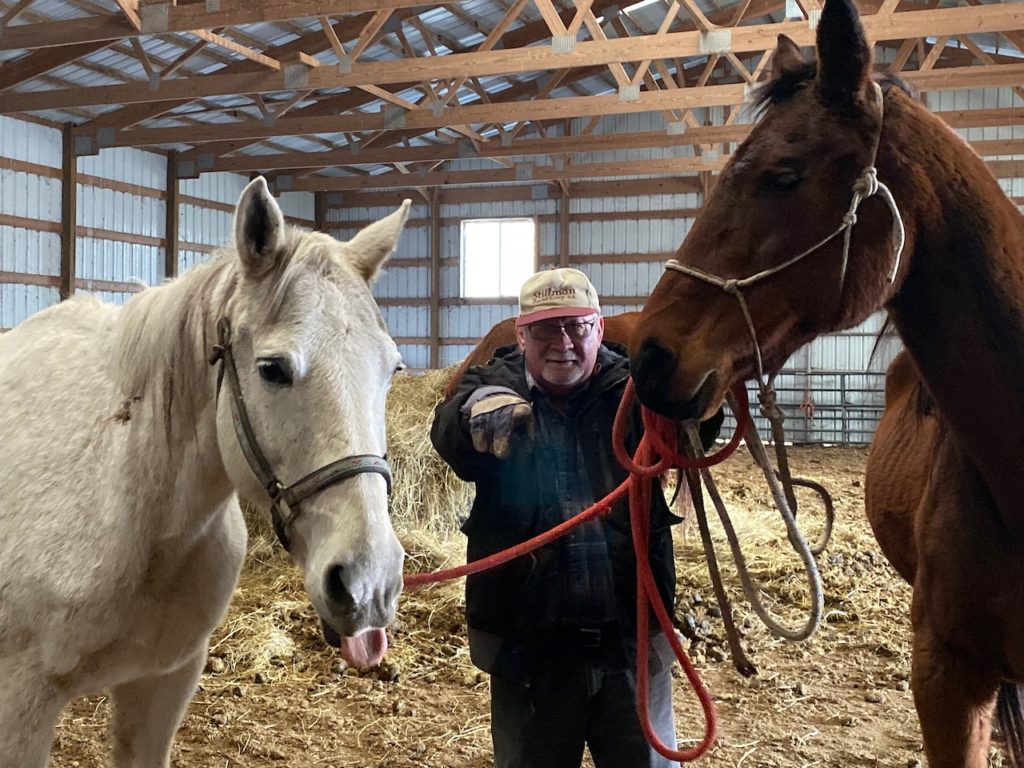 Greg halters two horses needing to be rescued.